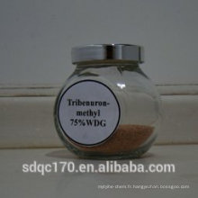 Fabricant fournissant Herbicide Tribenuron-méthyle 95% TC 75% WDG 75% DF 10% WP N ° CAS: 101200-48-0